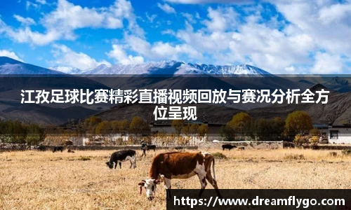 江孜足球比赛精彩直播视频回放与赛况分析全方位呈现