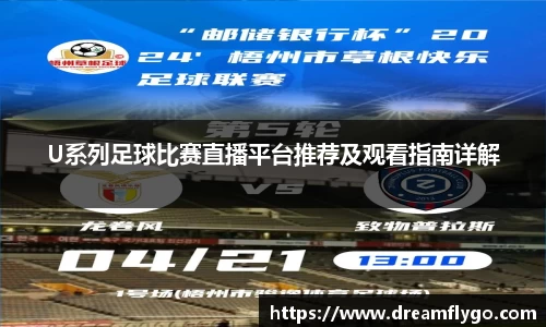 U系列足球比赛直播平台推荐及观看指南详解