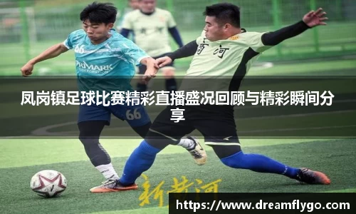 凤岗镇足球比赛精彩直播盛况回顾与精彩瞬间分享